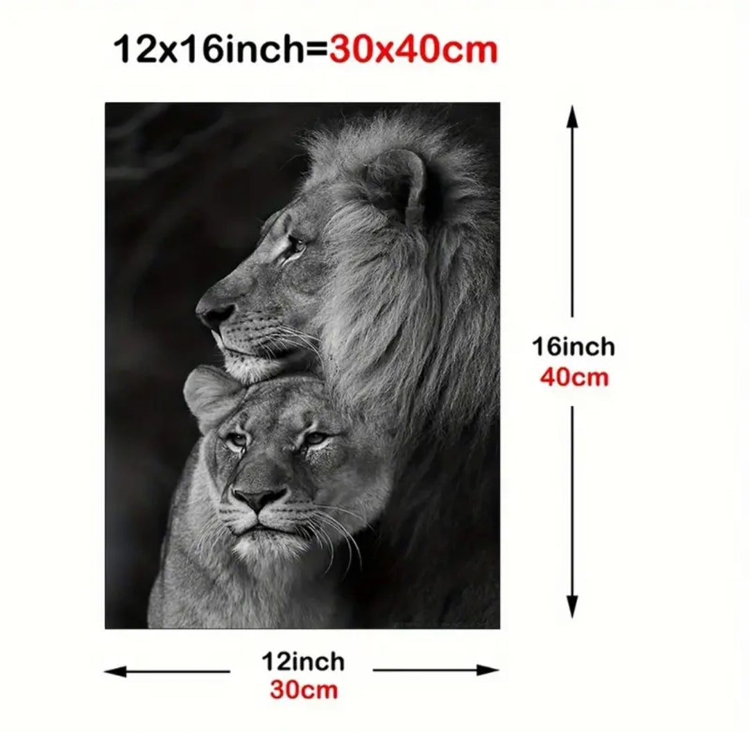 Lion and lioness